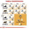 ROYAL CANIN FBN Sphynx Adult - sucha karma dla dorosłego kota - 2kg ROYAL CANIN FBN Sphynx Adult - sucha karma dla dorosłego kota - 2kg