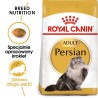 Royal Canin FBN Persian Adult - sucha karma dla kota dorosłego - 4kg Royal Canin FBN Persian Adult - sucha karma dla kota dorosłego - 4kg
