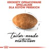 Royal Canin FBN Persian Adult - sucha karma dla kota dorosłego - 4kg Royal Canin FBN Persian Adult - sucha karma dla kota dorosłego - 4kg