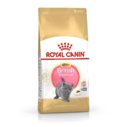 Royal Canin FBN British Shorthair Kitten - sucha karma dla kociąt - 2 kg