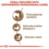 ROYAL CANIN Ageing +12 0,4kg ROYAL CANIN Ageing +12 0,4kg