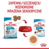 ROYAL CANIN SHN Mini Puppy w sosie - mokra karma dla szczeniąt - 12X85 g ROYAL CANIN SHN Mini Puppy w sosie - mokra karma dla szczeniąt - 12X85 g