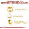 ROYAL CANIN Poodle 1,5kg ROYAL CANIN Poodle 1,5kg