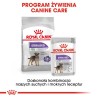 ROYAL CANIN CCN MINI STERILISED - sucha karma dla psa dorosłego - 8kg ROYAL CANIN CCN MINI STERILISED - sucha karma dla psa dorosłego - 8kg