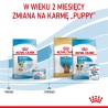 ROYAL CANIN SHN Mini Starter Mother & Babydog - sucha karma dla psa - 4 kg ROYAL CANIN SHN Mini Starter Mother & Babydog - sucha karma dla psa - 4 kg