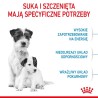 ROYAL CANIN SHN Mini Starter Mother & Babydog - sucha karma dla psa - 4 kg ROYAL CANIN SHN Mini Starter Mother & Babydog - sucha karma dla psa - 4 kg