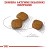 ROYAL CANIN Mini Urinary Care CCN - sucha karma dla psa - 1kg ROYAL CANIN Mini Urinary Care CCN - sucha karma dla psa - 1kg