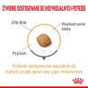 ROYAL CANIN BHN Pomeranian Adult - sucha karma dla psa dorosłego - 3kg ROYAL CANIN BHN Pomeranian Adult - sucha karma dla psa dorosłego - 3kg