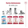 Royal Canin SHN Medium Adult BF 4kg Royal Canin SHN Medium Adult BF 4kg