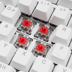 Sharkoon Gaming Tastatur Skiller SGK25 weiĂź DE