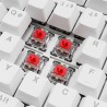 Sharkoon Gaming Tastatur Skiller SGK25 weiĂź DE
