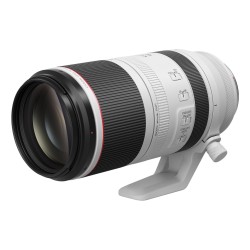 RF 100-500mm F4,5-7,1 L IS USM, obiektyw