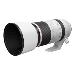 RF 100-500mm F4,5-7,1 L IS USM, obiektyw