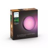 Zewnętrzna latarnia ścienna Philips Hue WCA Daylo 15 W 2000-6500 Hue Biały Kolor Atmosfera