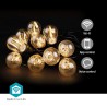 Oświetlenie LED dekoracyjne Wi-Fi Party-Lichter Warmweiss 10 LED's 9.00 m Android™ / IOS Lampendurchmesser: 45 mm