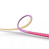 Zestaw startowy Philips Hue Gradient PC Lightstrip 24-27" 15 W