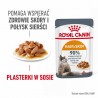 Karma Royal Canin Intense Beauty w sosie 12x85G Karma Royal Canin Intense Beauty w sosie 12x85G