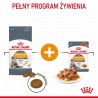 Karma Royal Canin Intense Beauty w sosie 12x85G Karma Royal Canin Intense Beauty w sosie 12x85G