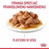 Karma Royal Canin Intense Beauty w sosie 12x85G Karma Royal Canin Intense Beauty w sosie 12x85G