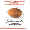 ROYAL CANIN Persian Adult - karma dla kota rasy pers - 2kg ROYAL CANIN Persian Adult - karma dla kota rasy pers - 2kg