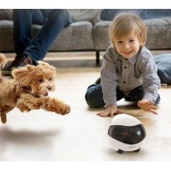 Robot AI ENABOT Ebo SE Biało-czarny