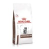 ROYAL CANIN Gastro Intestinal Kitten - sucha karma dla kociąt - 2 kg