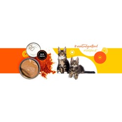 3Coty CHICKEN + KRILL for Kittens 180g