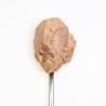 3Coty CHICKEN + DUCK for Kittens 180g 3Coty CHICKEN + DUCK for Kittens 180g