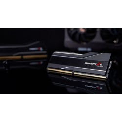 G.SKILL TRIDENT NEO AMD RGB DDR5 2X48GB 6000MHZ CL26 BLACK F5-6000J2636H48GX2-TZ5NR