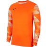 Bluza bramkarska męska Nike Dry Park IV JSY LS GK pomarańczowa CJ6066 819 M