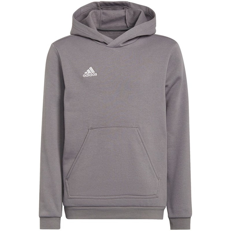 Bluza dla dzieci adidas Entrada 22 Hoody szara H57515 152cm