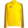 Bluza dla dzieci adidas Tiro 23 League Training żółta IC7874 152cm