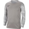 Bluza bramkarska męska Nike Dry Park IV JSY LS GK szara CJ6066 052 S