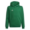 Bluza dla dzieci adidas Entrada 22 Hoody zielona HI2143 116cm