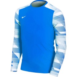 Bluza bramkarska dla dzieci Nike Dry Park IV JSY LS GK JUNIOR niebieska CJ6072 463 XS