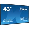 Monitor iiyama ProLite LE4341S-B2 - 43-calowy płaski ekran - 108 cm