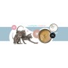 3Coty TURKEY + CHICKEN for Kittens 180g 3Coty TURKEY + CHICKEN for Kittens 180g