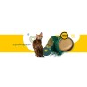 3Coty CHICKEN with Spirulina for Senior Cats 180g 3Coty CHICKEN with Spirulina for Senior Cats 180g