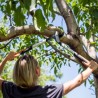 Fiskars 1020187 Sekator Sekator sznurkowy Fiskars 1020187 Sekator Sekator sznurkowy