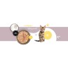 3Coty TURKEY + GOOSE for Kittens 180g