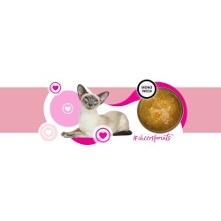 3Coty TURKEY Cheers! Complementary feed cats 160g