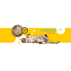 3Coty CHICKEN with hearts for Adult cats 180g