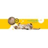 3Coty CHICKEN with hearts for Adult cats 180g 3Coty CHICKEN with hearts for Adult cats 180g