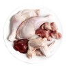 3Coty CHICKEN for Adult cats 180g 3Coty CHICKEN for Adult cats 180g