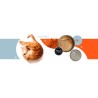 3Coty TURKEY + CHICKEN/KRILL for Senior Cats 180g 3Coty TURKEY + CHICKEN/KRILL for Senior Cats 180g