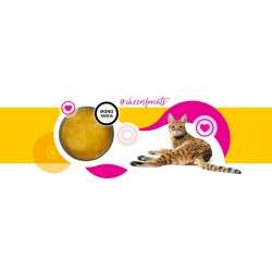 3Coty CHICKEN Cheers! Complementary feed cats 160g