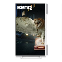 MONITOR BENQ LED 31,5" EW3290U