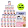 PURINA CAT CHOW KITTEN Jag&Cuk 20+6 saszet. 2,21kg