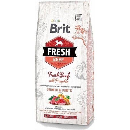 BRIT Fresh Beef & Pumpkin Puppy Large Growth & Joints - sucha karma z wołowiną i dynią dla szczeniąt ras dużych - 12 kg