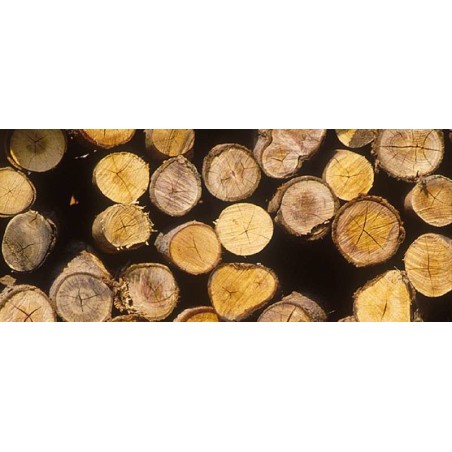 Einhell GE-LC 18/25-1 Li Kit Czarny, Czerwony